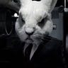 White Rabbit