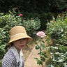 ladygrey