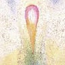 Lucy Lily