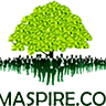 PMaspire Limited
