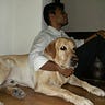 Rohit Shankar