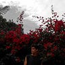 Bergson Araujo
