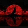 Luna De Sangre
