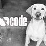 CodeTalent