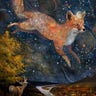 Lost fox