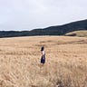 HUA知花