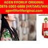 Agen Fiforlif Original