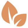 Phloem.market