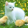 milton_123