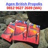 Agen Resmi British Propolis, 0812–9627–2689 (Tsel)