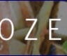 Roozervelts Cafe