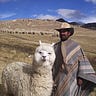 Al Pacca