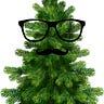 Pretentious Evergreen