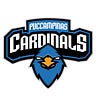 PUC Campinas Cardinals eSports