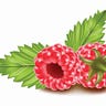 Pastile de Slabit