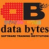 Data Bytes
