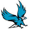 Falcon Online Services