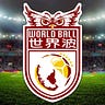 WorldBall 世界波