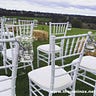 Bán ghế Tiffany ghế Chiavari nhập khẩu 290.000đ