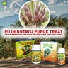 Jual Produk Nasa Di Palopo