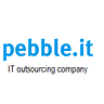 Pebble.it — IT Services Companies