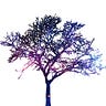 ELM Awakening