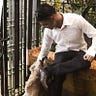 Rucel Britanico Virata
