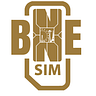 BNESIM
