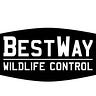 BestWay Wildlife