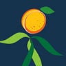 Wild Apricot