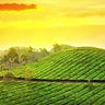 gokerala trip