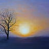 Tim Bragg
