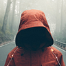 Anonymous Researcher