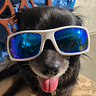 Neo Evolution