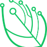 Foodcode