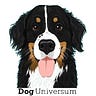 Dog Universum
