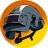 PUBG Insight