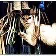 Cat tangled in closet hangers