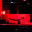 Amazon’s Plague Year