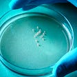 Scientists Grew Tiny Human Forebrains in a Dish
