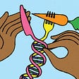 Meet the Startup That Thinks DNA Can Predict Your Best Diet