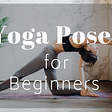 4 Yoga Poses for Beginners that will Blow your Mind