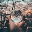 Someone holding a glass orb which reflects tree branches