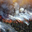 Fine particulate matter from wildfire smoke more harmful than pollution from other sources