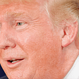 Why Trump is Probably going to Win Once more