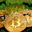 Bitcoin The Crypto Giant!!!