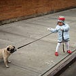 Child pulling leash and dog resisting