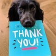 A black dog with a thank you card