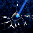 An example of optogenetics.
