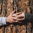 A close shot of two hands intertwined (male and female) while hugging a tree.